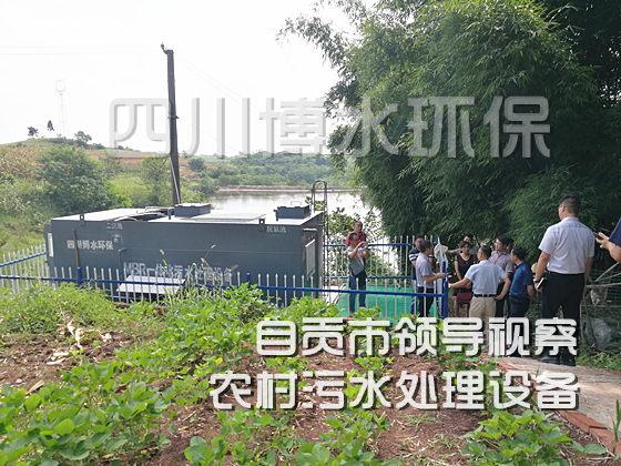 自貢市農(nóng)村生活污水處理設備迎接省市區(qū)領導檢查