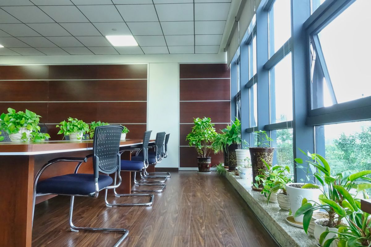 這才叫綠色環(huán)保，四川博水環(huán)保辦公室盛夏綠意