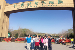 銷售團(tuán)隊集體活動